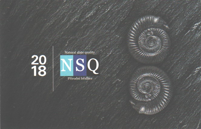 NSQ-18